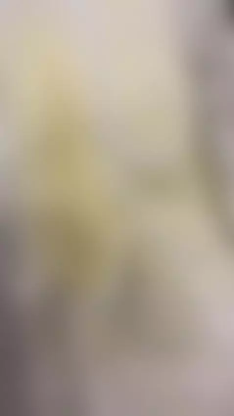 | Yezzclips: Store 3780 | Scatbook: @LadyVikki212188 | Manyv... by ladyvikki