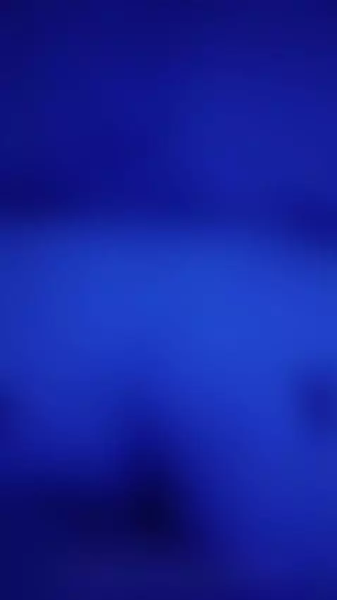 que ricooo  hpta by anyrebels1