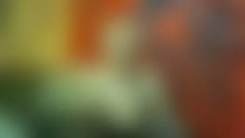 lisavance.cammodels.com by lisalovely6981