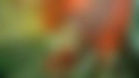 💋😘🤑👙☘🍀🔥💞I'm live streaming in my room! say hi https://camsod... by lisalovely6981