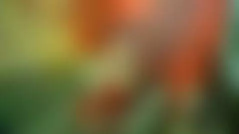 Cum see me your be glad you did mmm mmmmm mmmmm by lisalovely6981