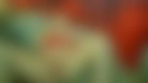 Cum play Like my video please by lisalovely6981