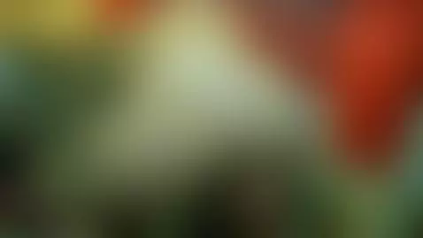 I'm live on @CamSodaLive right now! Come see me https://cams... by lisalovely6981