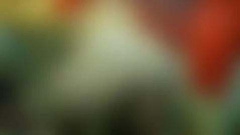 bigass, bigboobs, milf by lisalovely6981