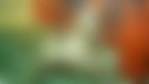 Please like my video. Letr me know how I am doing ??I am new... by lisalovely6981