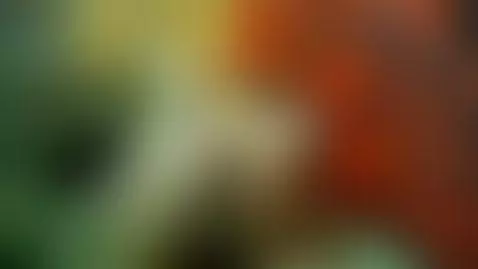 Im new Please Like N Follow by lisalovely6981