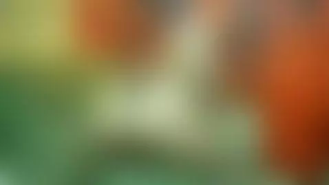 blonde by lisalovely6981