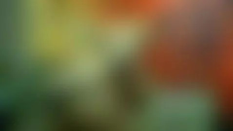 blonde by lisalovely6981