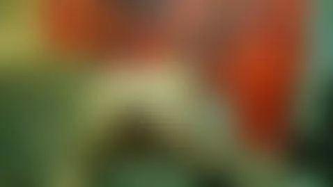 blonde, ass, bigass by lisalovely6981