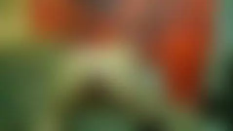 blonde, lush, wife by lisalovely6981