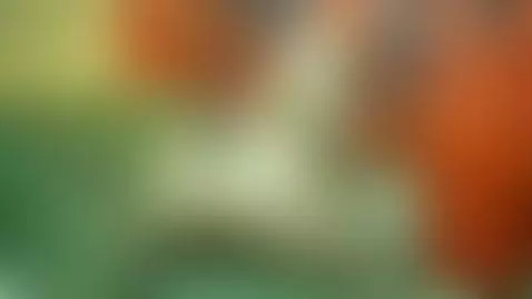 cockold, blondie, blonde by lisalovely6981