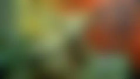 Im new please LIKE n FOLLOW by lisalovely6981