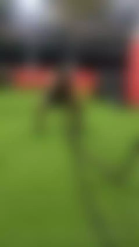 #gym #master #muscle #latino by lucifermaster001