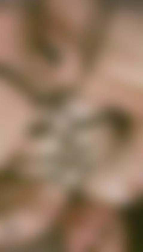 MAKE ME SQUIRT ALL OVER MY FACE by megan-wells