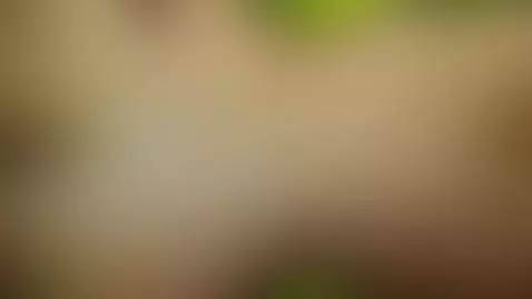 Pussy like by pepino33