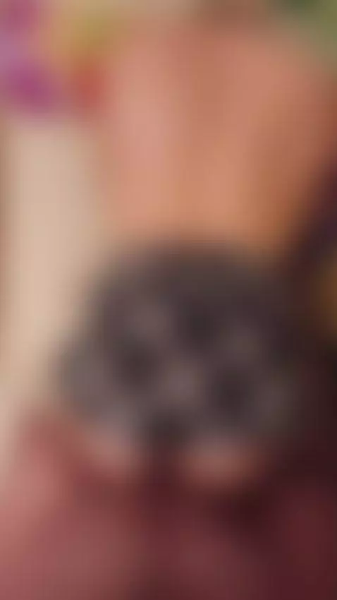 I like to eat cum, 💦 more in the OF. by rundalya