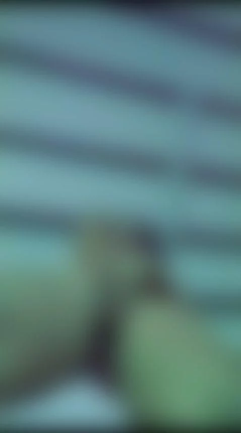 WHAT DO YOU THINK OF THIS VIEW? by chantalgil