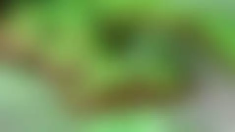 Video by gigidamesscosquiter