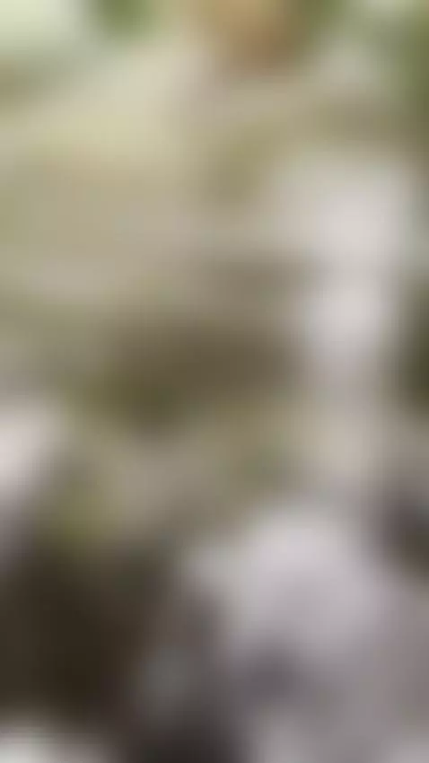 Today is an adventure holiday Monday
Today everything is wat... by gigidamesscosquiter