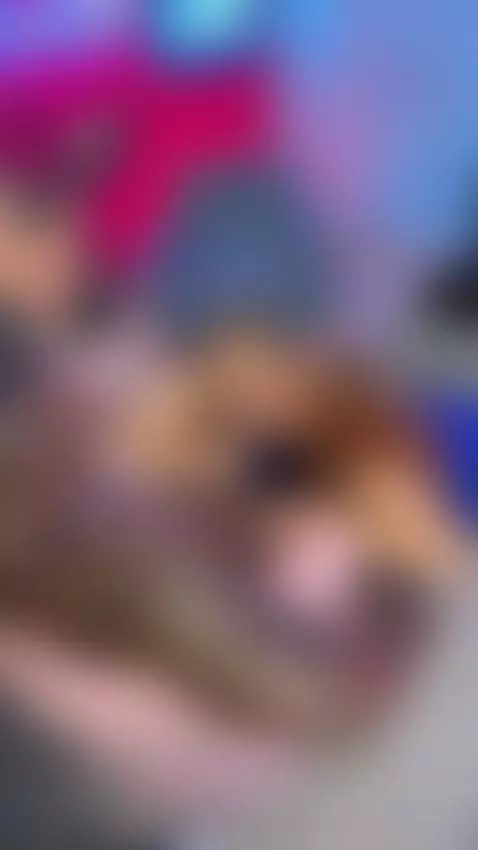 Que rico se la chupamos a este negro 🍆💋 by danieelagomezdg2