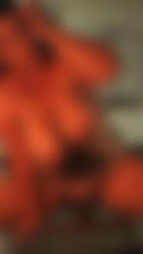 cowgirl 🤠 by isabellmendeez