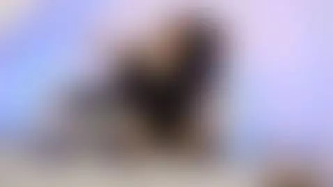 Do you like long socks? by tifanny-greey