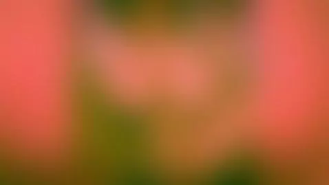 little compilation of fun with my life size anime giel doll ... by zedxxx10