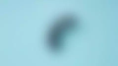 https://www.lovense.com/r/zrr5z2 by theclubist111
