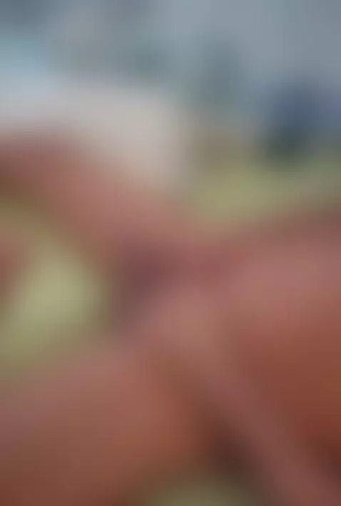 https://Www.stripchat.com/theclubist11/follow-me

Use that l... by theclubist111