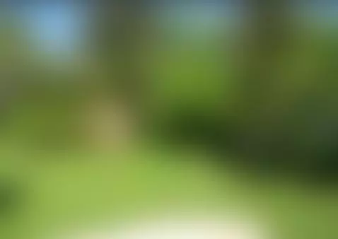 Naked in Nature by theclubist111