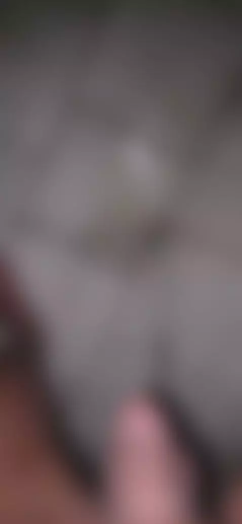 Outdoor pee at night! Weed killer! by theclubist111