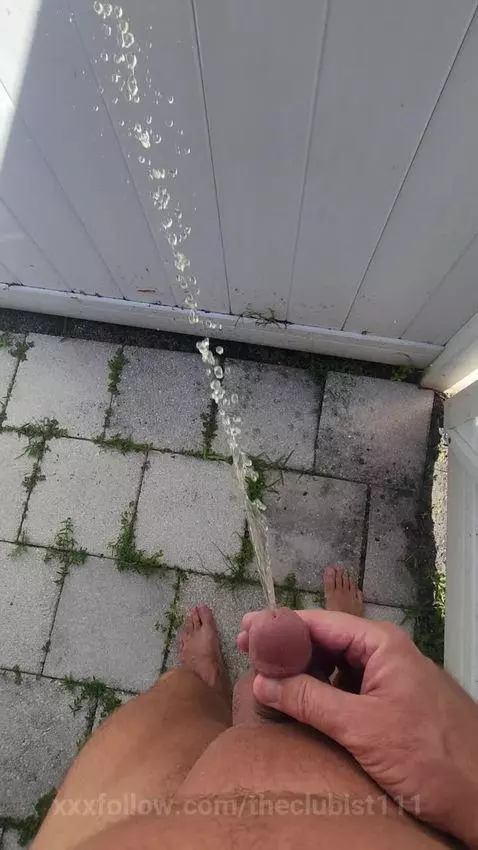 pee on neighbor's fence by theclubist111