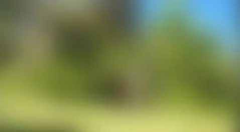 Naked outside enjoying my remote controlled truck! by theclubist111