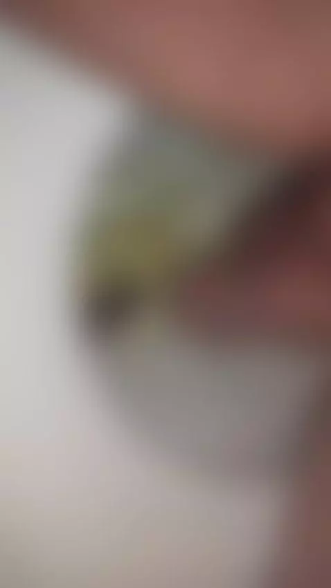 bidet sprays my cock after peeing! by theclubist111