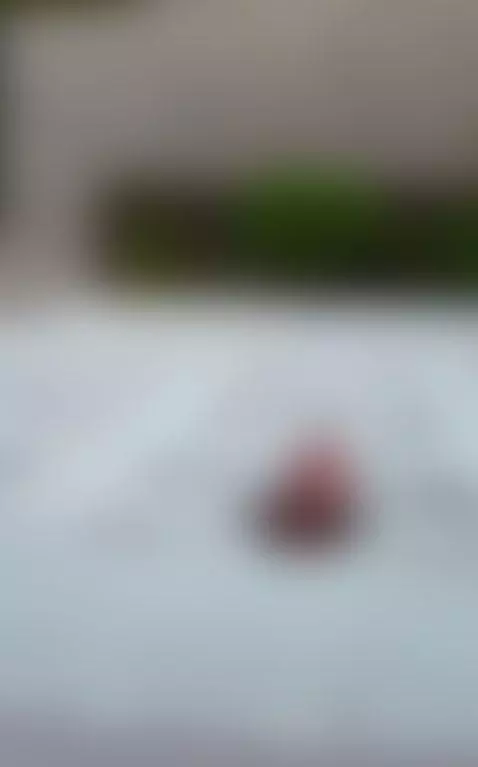 poking my hard cock through 6 inches of concrete block IN PU... by theclubist111