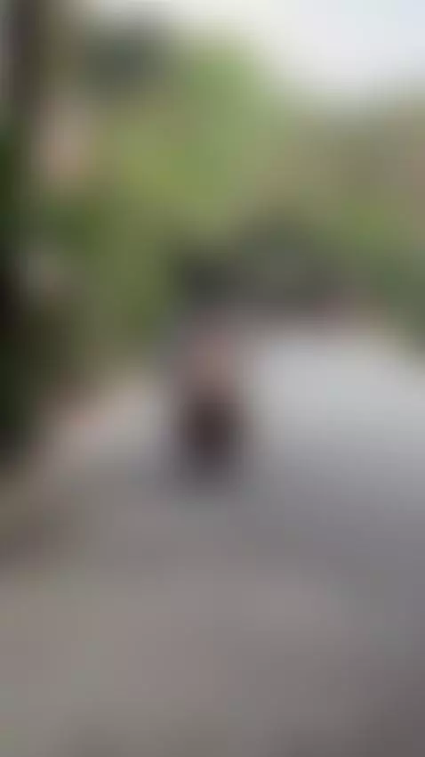 LET'S TAKE A WALK... DO YOU THINK ANYTHING ELSE HAPPENS? 😈 by emilyybrown