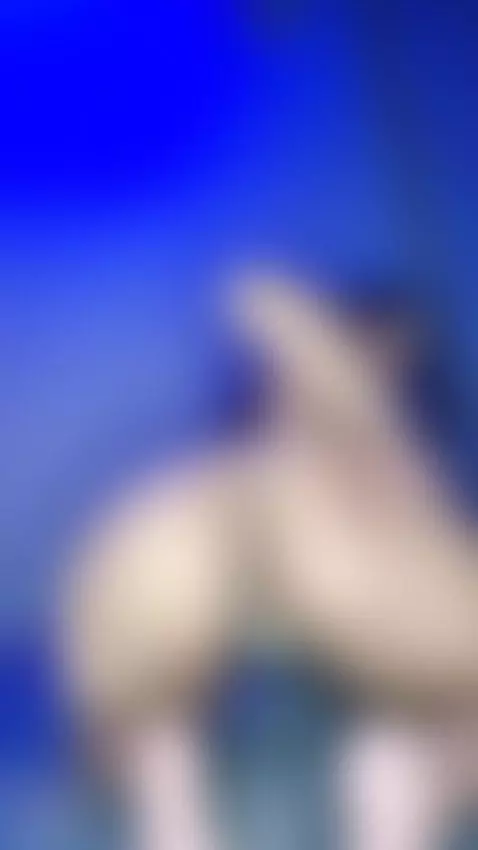 Let me bounce on your face!! by vanessakalo