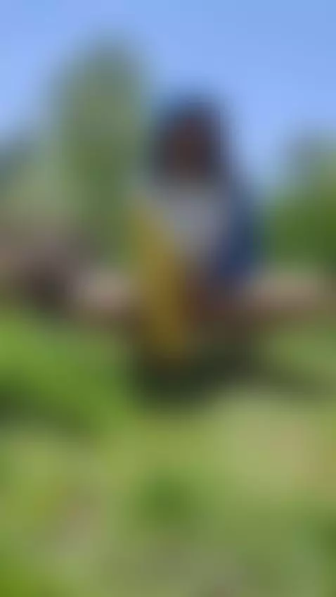 squirt in public by dani-rosee