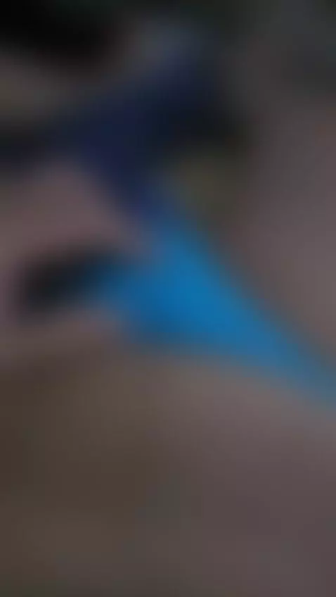 Solo by dallaspigphoto