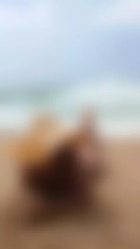 show it off on the beach 😈😳🥵 by dominatrixviudanegra