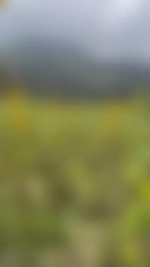 ups me pillaron 😈 by salomecuteoficial