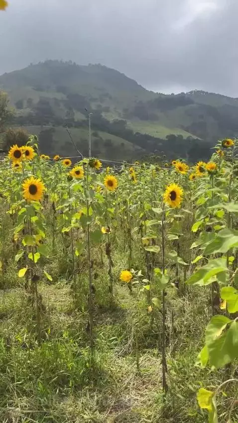 ups me pillaron 😈 by salomecuteoficial