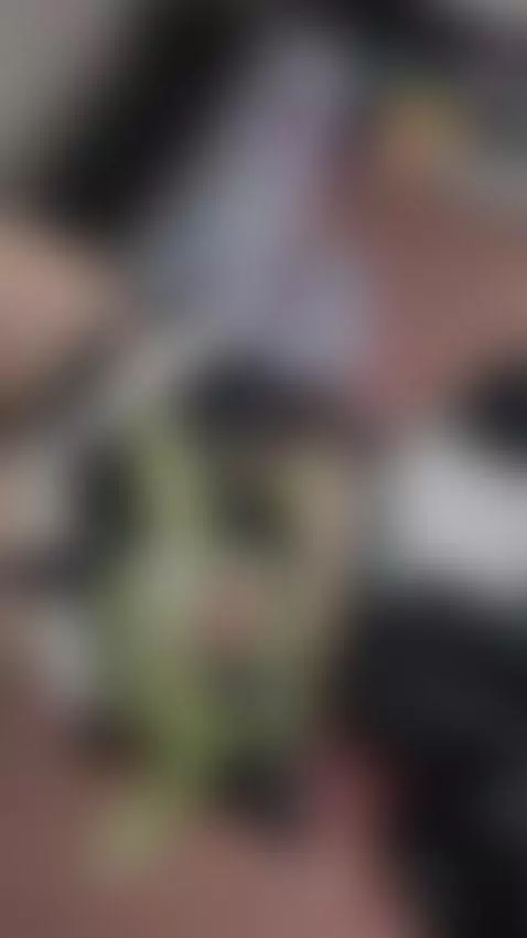 Soft voice, slow moves, dangerous intentions 💕 by nezuko-mitsuri