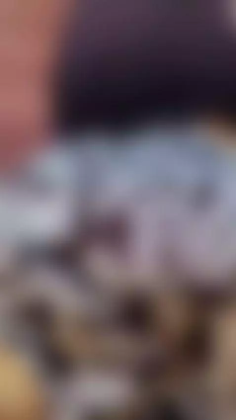 kiss for the king by agathalynx