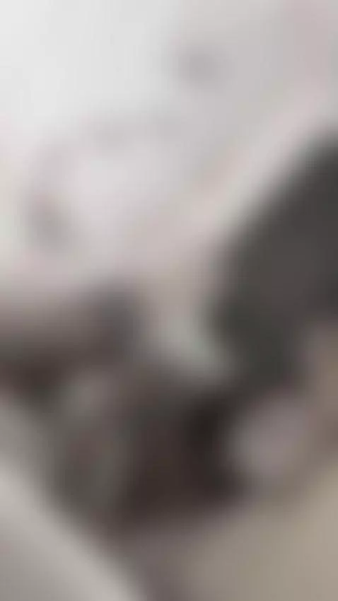 This is only a little preview… 👀 by andregill