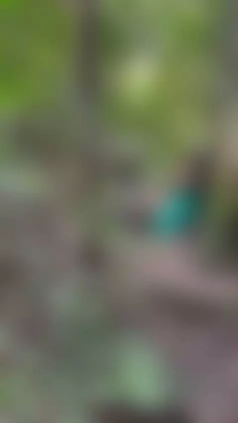 Oh! surprice 🧚🏼💚 by amelyamann