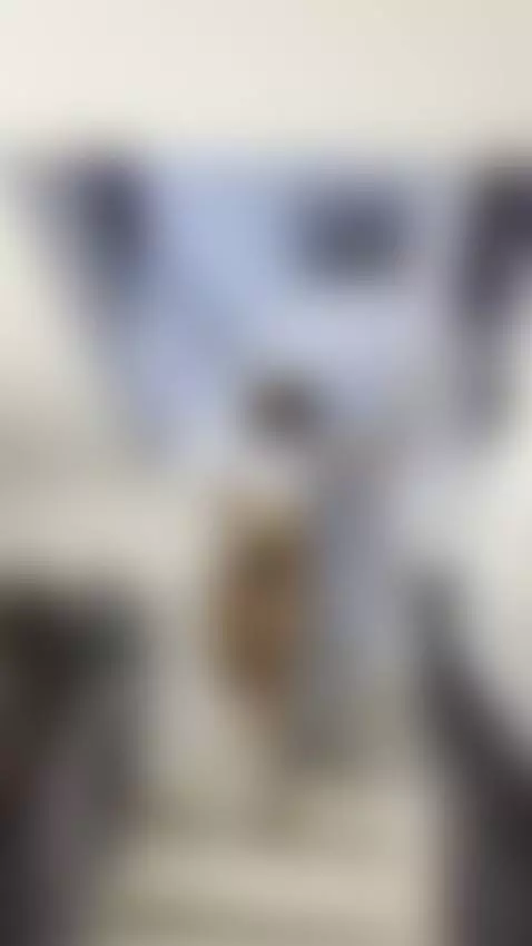 All this is yours 🤫 by amelyamann