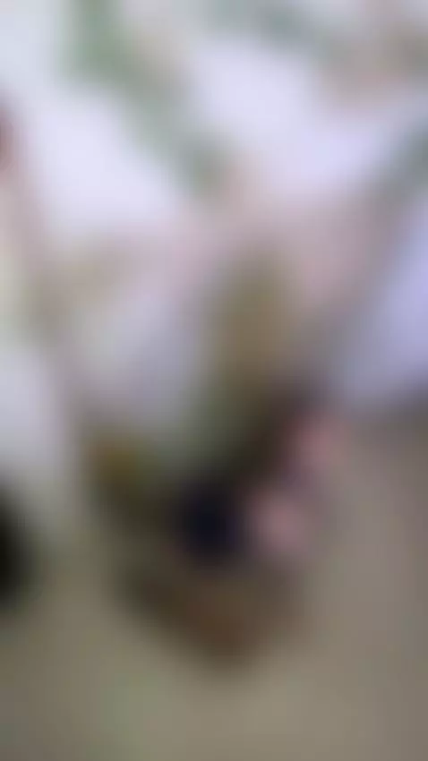 "Bienvenidos a bordo" by fioresanz