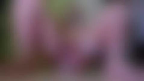 Mmmm Papi by fioresanz