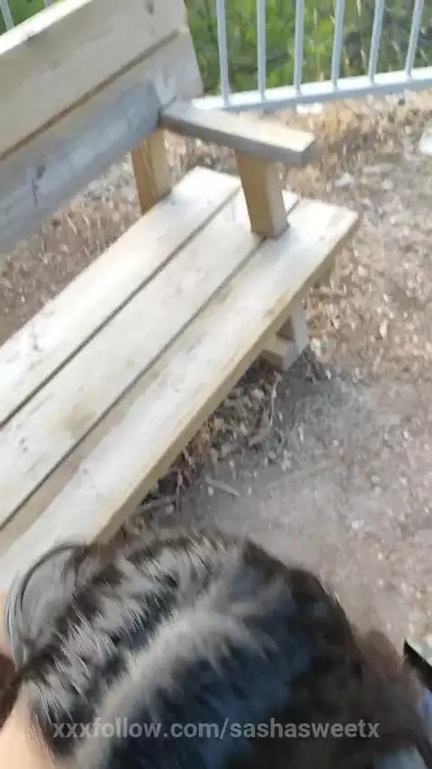 sucking cock outdoor by sashasweetx